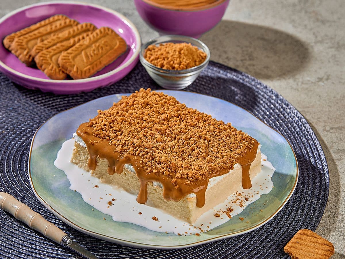 قشطوطة لوتس 